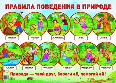Плакат  Демонстрационный «Правила поведения в природе»
