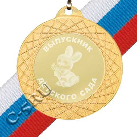 Медаль Выпускник детского сада (З-6)