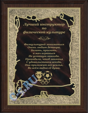 Плакетка Лучший инструктор по физической культуре