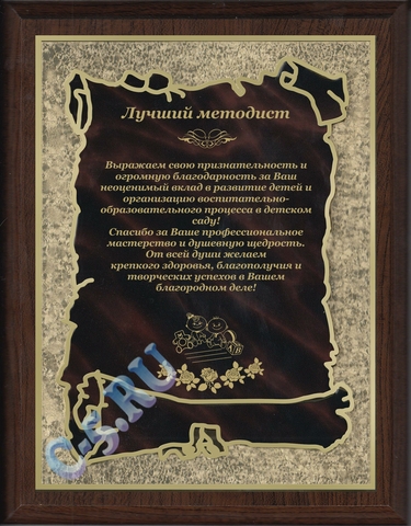 Плакетка Лучший методист