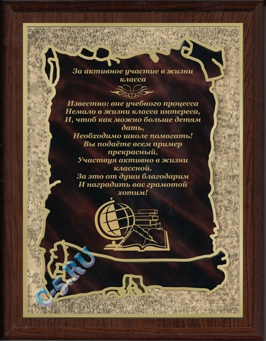 Плакетка За активное участие в жизни класса