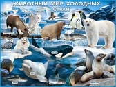 Плакат "Животный мир холодных стран" (P2-218)