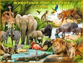 Плакат "Животный мир жарких стран" (P2-219)