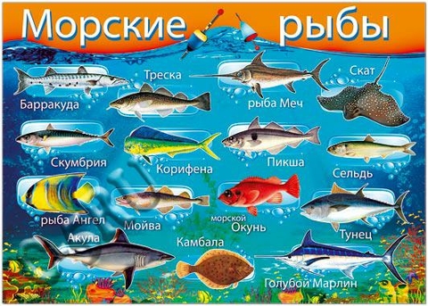 Морские рыбы (32695)