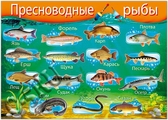 Пресноводные рыбы (32696)
