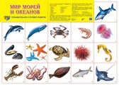 Плакат демонстрационный Мир морей и океанов
