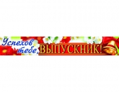 Плакат-полоска Успехов тебе выпусник (ПА-8330)