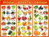 Плакат Ягоды, фрукты, овощи (P2-188)