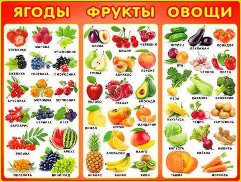 Плакат Ягоды, фрукты, овощи (P2-188)