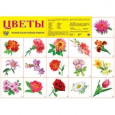 Плакат демонстрационный Цветы