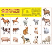 Плакат демонстрационный Домашние животные