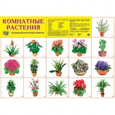 Плакат демонстрационный Комнатные растения