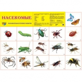 Плакат демонстрационный Насекомые