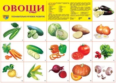 Плакат демонстрационный Овощи