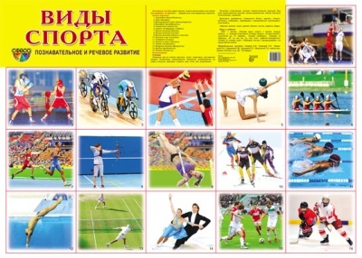 Плакат демонстрационный Виды спорта