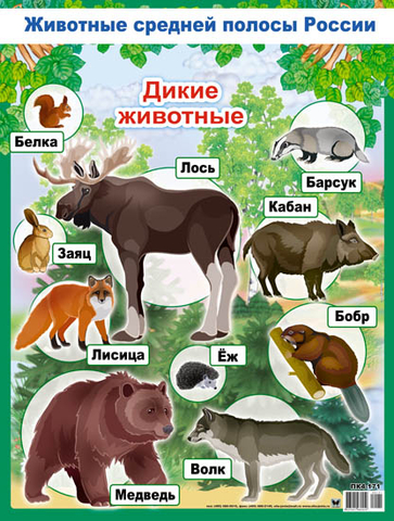 Плакат Животные средней полосы России (ПК4-171)