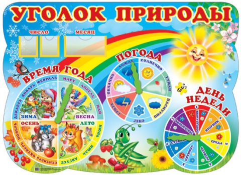 Стенд Уголок природы
