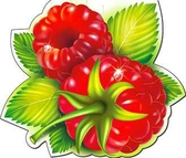 Закладка магнитная "Малина" (D-439)
